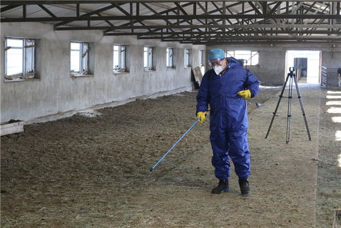 新宝力格苏木统筹做好疫情防控和畜牧业发展工作